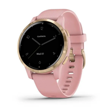 Garmin Vivoactive 4S