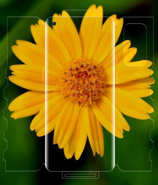 Захисна плівка DK HydroGel 360° Butterfly для OnePlus 9 Pro (clear) 013484-063 фото