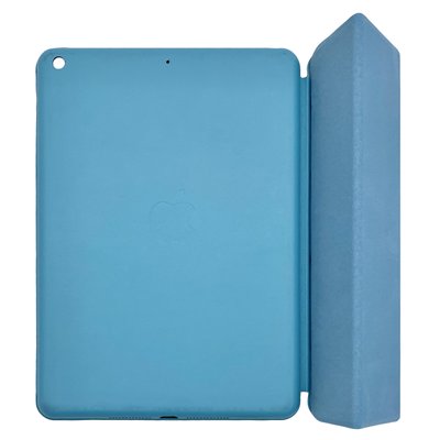 Чехол-книжка DK Эко-кожа Smart Case для Apple iPad 10.2" 7gen 2019 (A2197 / A2200 / A2198) (09757) (sky blue) 09757-903 фото