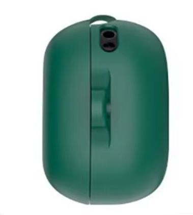 Чохол для JBL Live Flex 3 | Silicone Candy Friendly з карабіном (green) 020474-071 фото