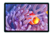 Защитное стекло DK Full Glue для Samsung Galaxy Tab S8 Ultra (X900 / X906) (014254) (clear) 014254-063 фото 4