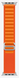 Ремешок DK Polyester Alpine Loop для Apple Watch 42 / 44 / 45 / 49mm (orange) 015586-123 фото 3