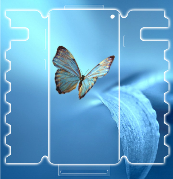 Защитное пленка DK HydroGel 360° Butterfly для Samsung Galaxy S10 (G973) (clear) 013487-063 фото