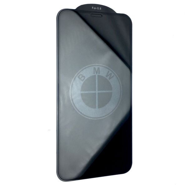 Защитное стекло DK Hologram для Apple iPhone X / XS / 11 Pro (10) 08744-770 фото
