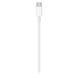 Кабель Apple USB-C to USB-C (2m) (MLL82FE) (white) 010539-407 фото 2