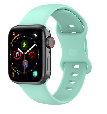 Ремешок CDK для Apple Watch 40mm (Series 4/5/6 / SE1/SE2) | M / L Silicone Band Double Loop (014416) (mint) 018045-372 фото